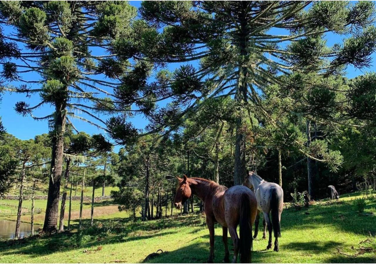 Fazenda Santa Rita Turismo Rural Bom Jardim da Serra Exteriör bild
