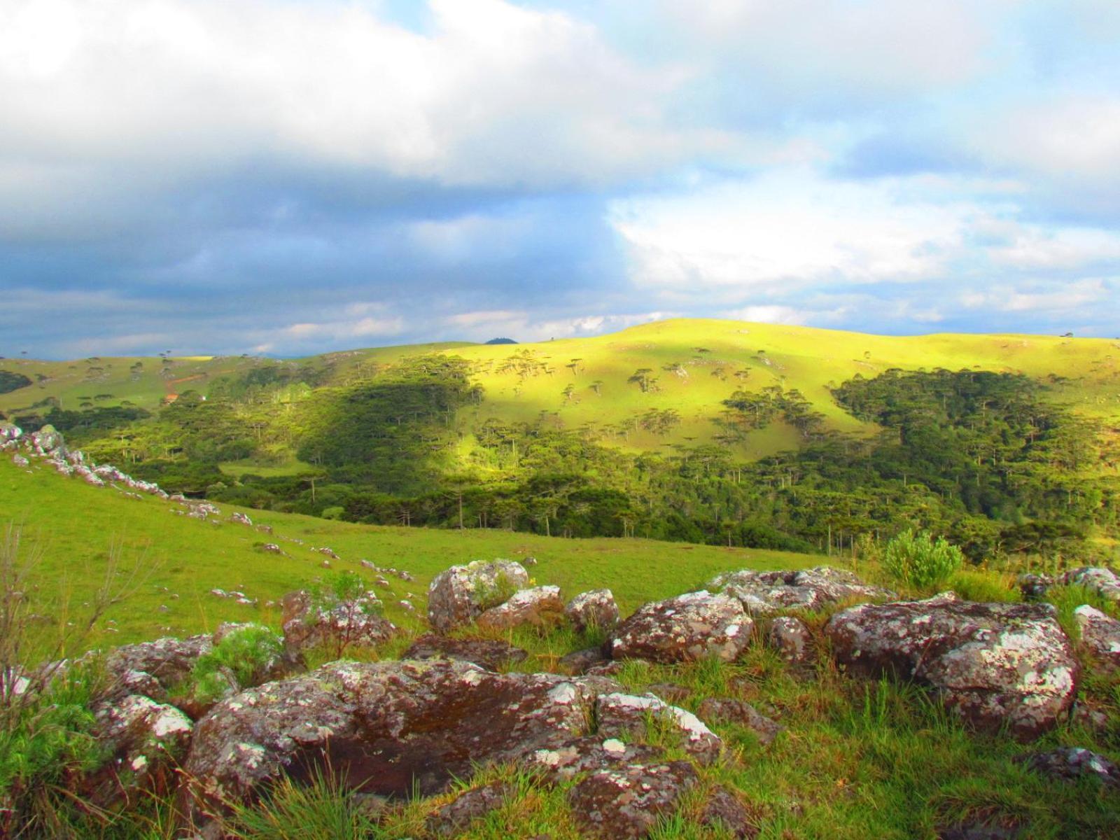 Fazenda Santa Rita Turismo Rural Bom Jardim da Serra Exteriör bild