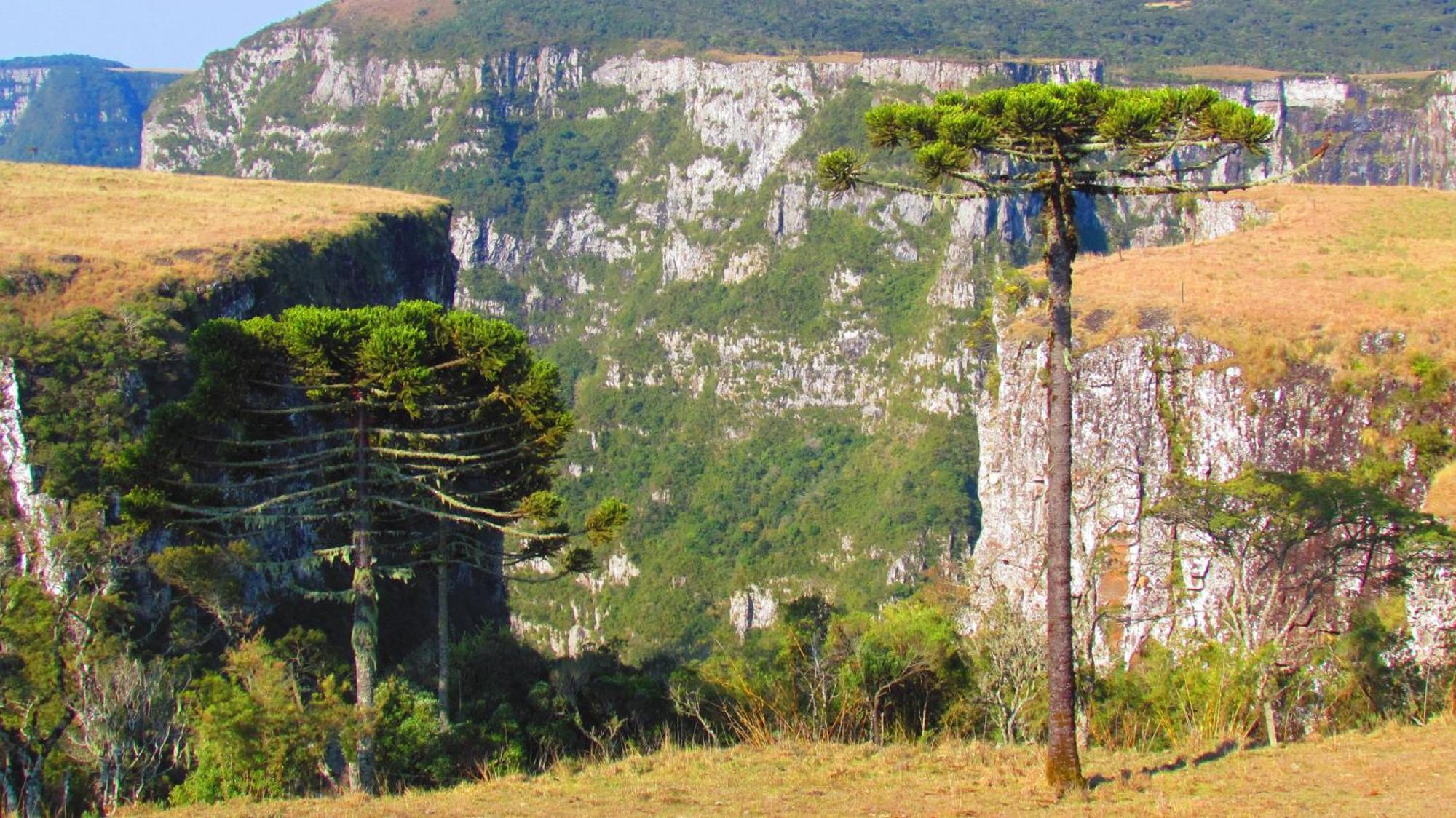 Fazenda Santa Rita Turismo Rural Bom Jardim da Serra Exteriör bild